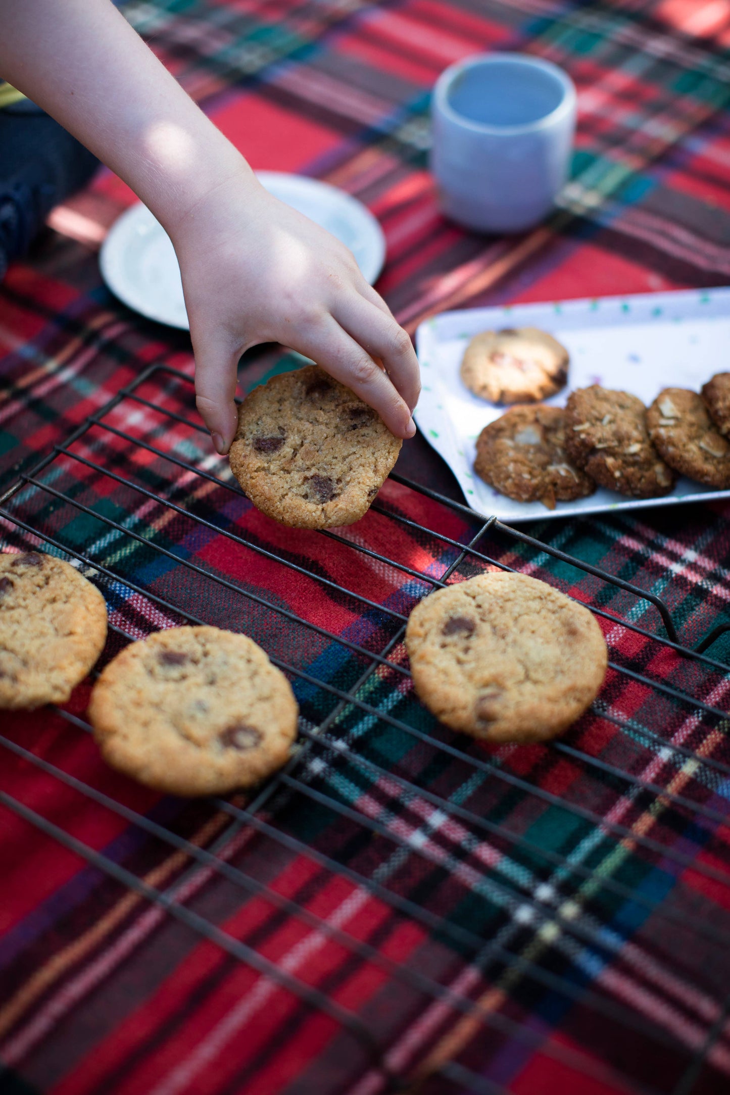 Yomo Choc Chip Biscuit Mix