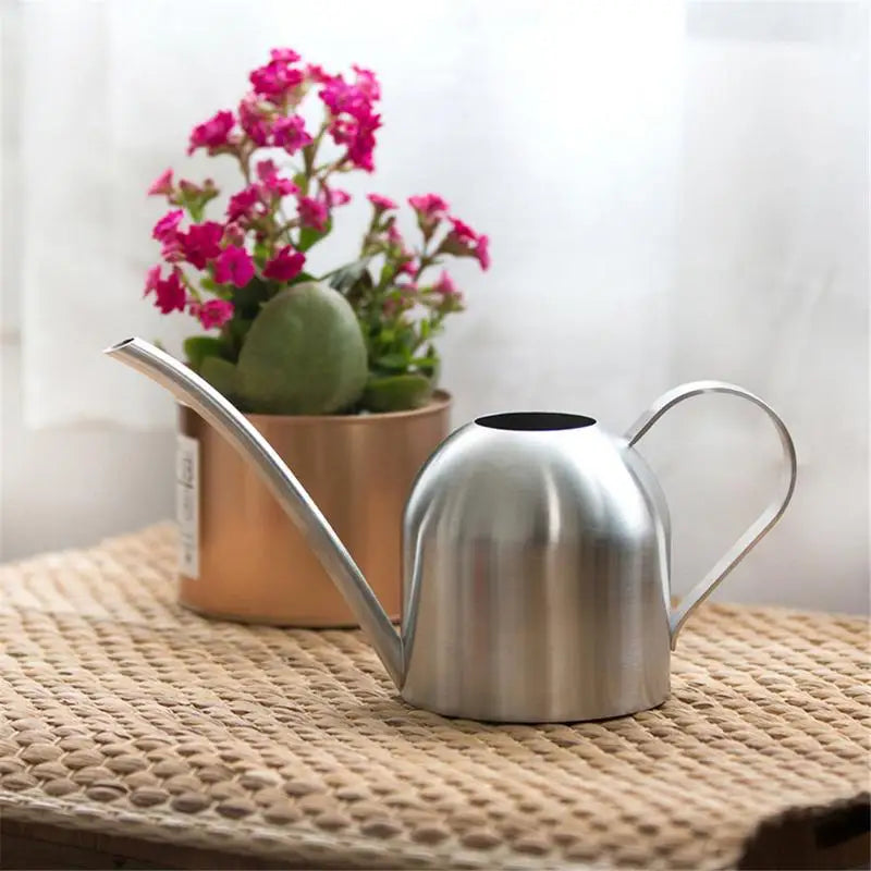 Contemporary Indoor Stainless-Steel Watering Can 500ml