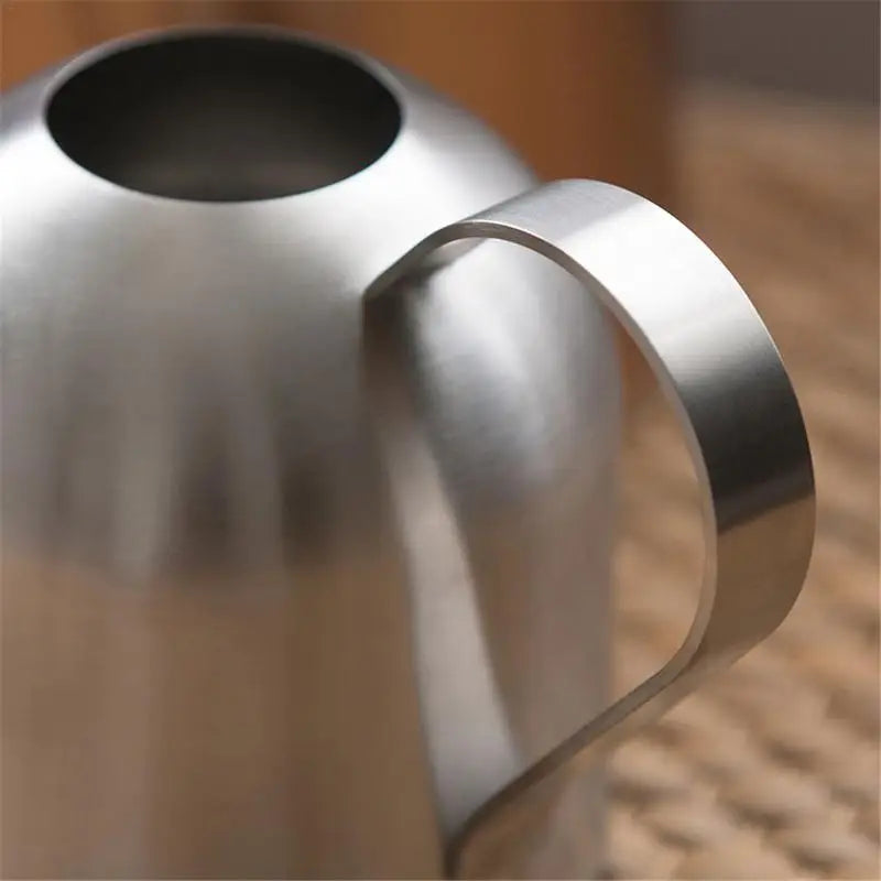 Contemporary Indoor Stainless-Steel Watering Can 500ml