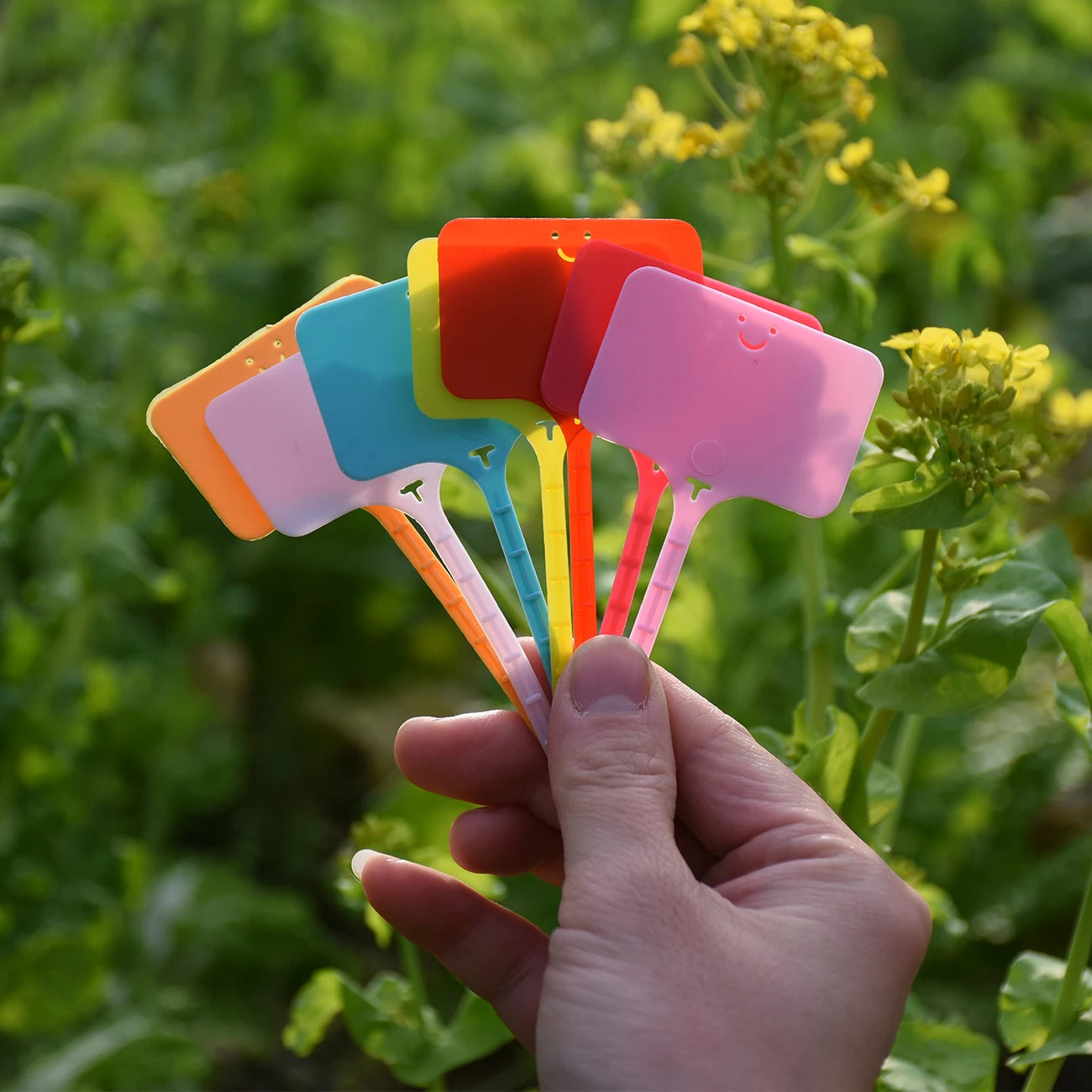 Vibrant PVC Plant Labels.